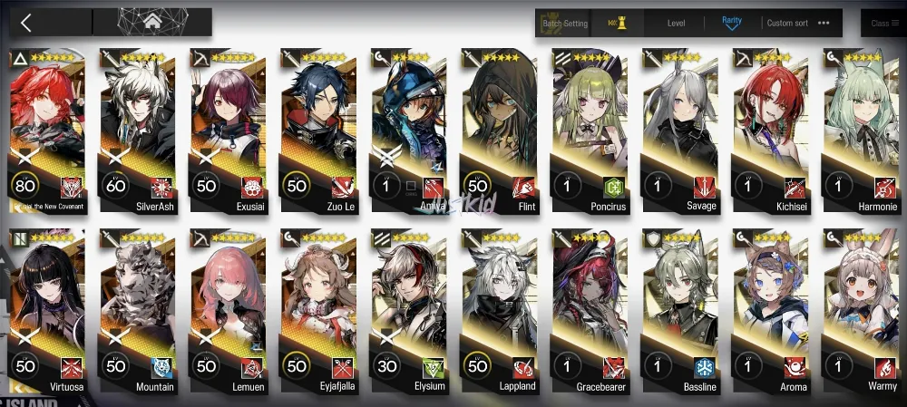 AK GLOBAL EARLYMID 8*6 , 2 LIMITED EXUSIAI ALTER AND VIRTUOSA , SILVERASH,MOUNTAIN,EXUSIAI,LEMUEN