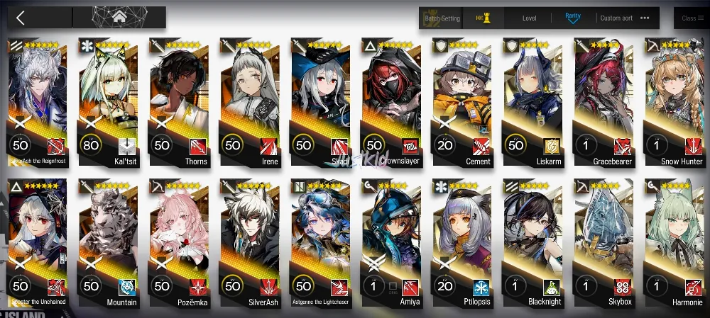 ARKNIGHTS GLOBAL STARTERMID 11*6 , 2 LIMITED SILVERASH ALTER,SPECTER ALTER , KALTSIT,MOUNTAIN,THORN
