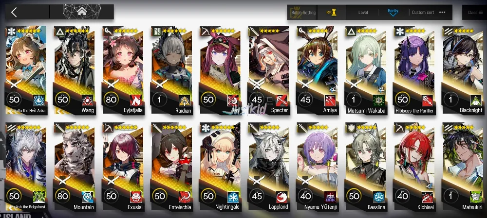 ARKNIGHTS GLOBAL STARTERMID 10*6 , 3 LIMITED WANG,SILVERASH ALTER,EYJA ALTER , EYJA,RAY,ENTELECHIA