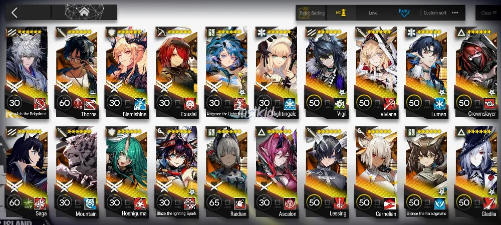ARKNIGHTS GLOBAL MIDGAME 21*6 , LIMITED SILVERASH ALTER , ASCALON,BLAZE ALTER,THORN,MOUNTAIN,EXUSIAI
