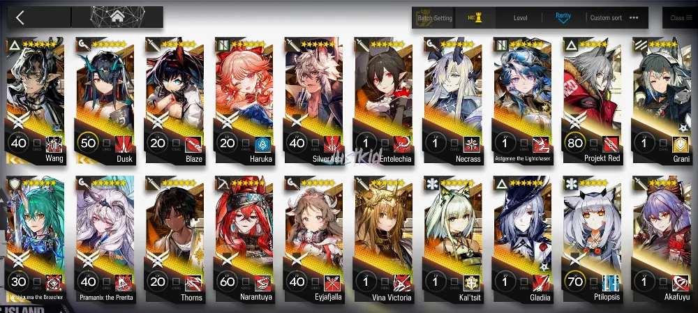 ARKNIGHTS GLOBAL EARLYMID 16*6 , 3 LIMITED WANG,DUSK,HOSHI ALTER , PRAMANIX ALTER,HARUKA,NECRASS