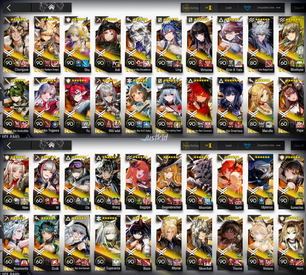 ARKNIGHTS GLOBAL LV.120 , 28/30 LIMITED , 119*6 , 395 (95%), 189 E2, FULL COLLABS, FULL SUI SIBLINGS