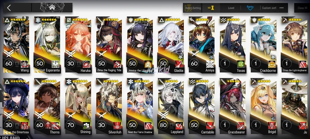 ARKNIGHTS GLOBAL EARLYMID 11*6 , 3 LIMITED KALTSIT ALTER,WANG,TEXAS ALTER , HARUKA,ZIMA ALTER,THORN