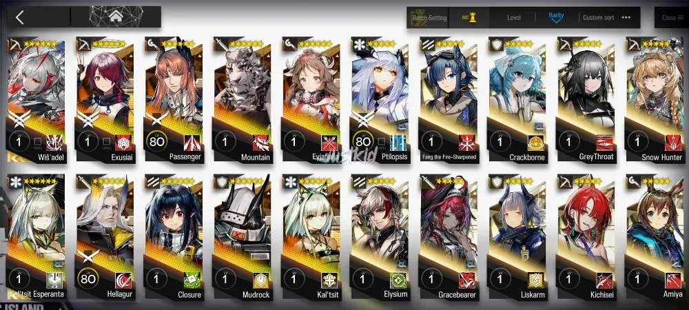 ARKNIGHTS GLOBAL STARTERMID 10*6 , 2 LIMITED WISADEL,KALTSIT ALTER , KALTSIT,EYJA,CLOSURE,MOUNTAIN