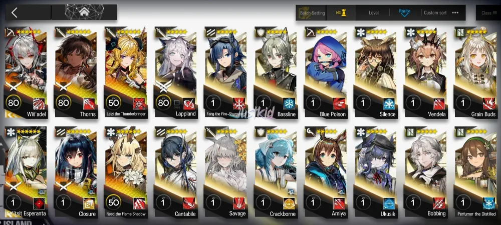 ARKNIGHTS GLOBAL STARTER 6*6, 2 LIMITED WISADEL,KALTSIT ALTER , THORN,LEIZI ALTER,REED ALTER,CLOSURE