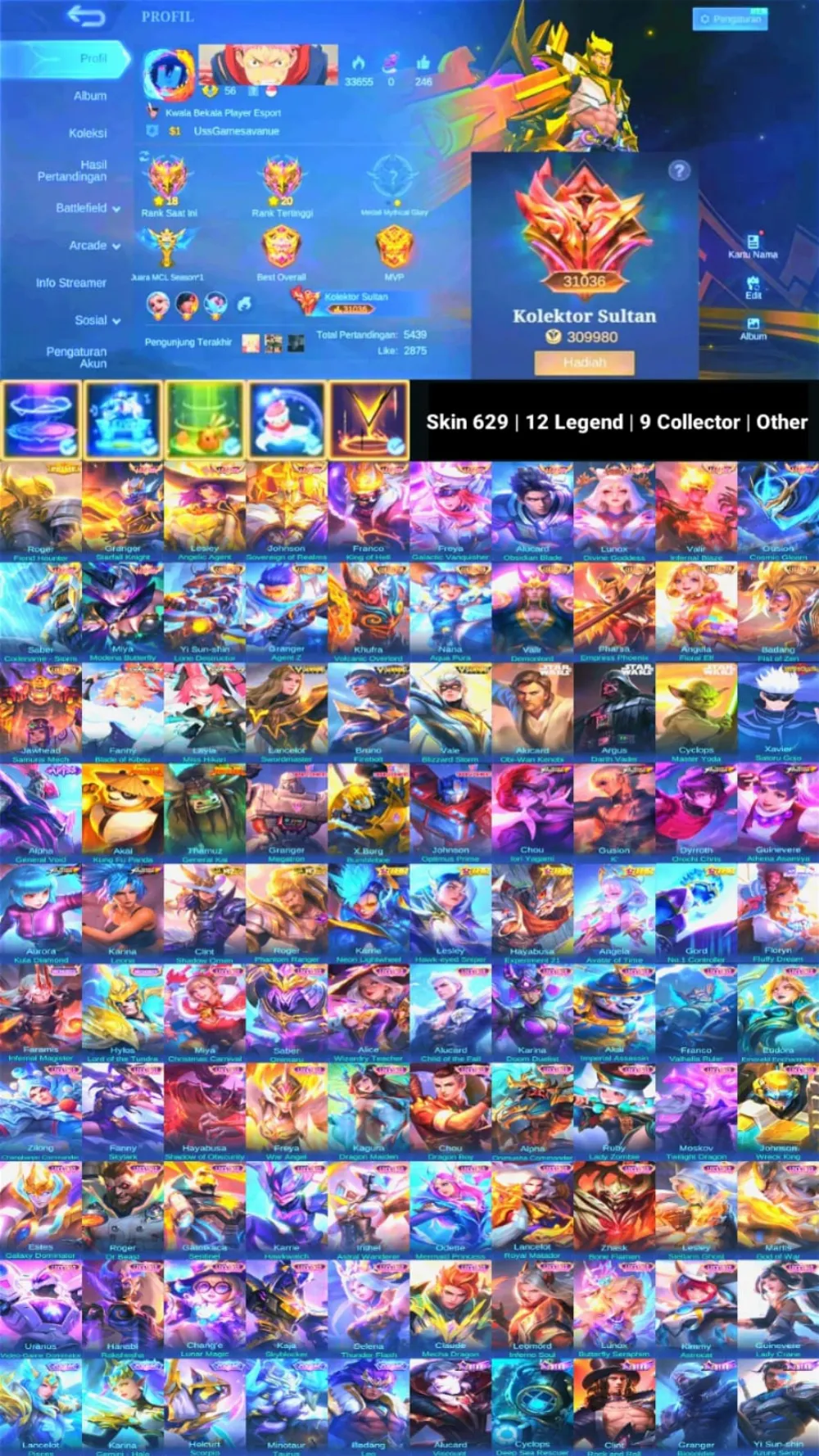 World Collector | Skin 629 | 12 Legend | 9 Collector | Prime Roger | 3 Dawning | 3 Starwars